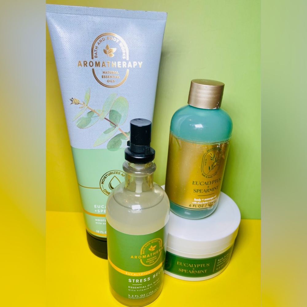 Bath & Body Works Aromatherapy Eucalyptus Spearmint 4pc Set